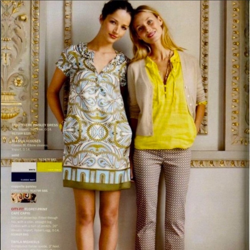 J Crew All Silk Trastevere Dress. Rare.